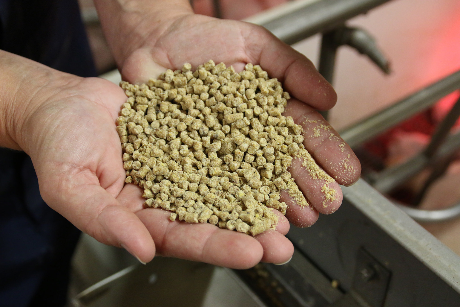 United States Swine Feed Market Size, Share, Analysis and Forecast 2021-2026
