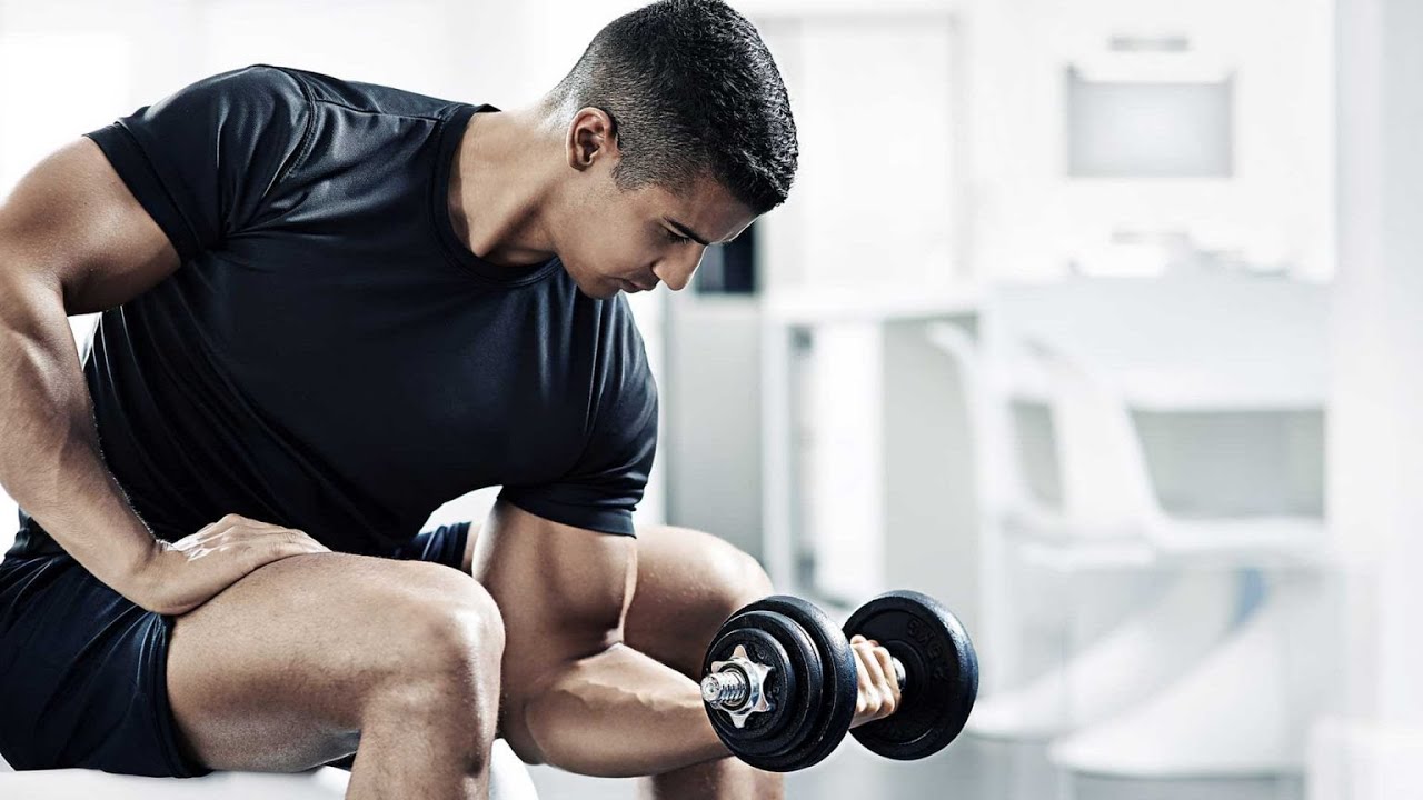 Strength Essentials: Halter, Dumbbell, and Barbell Sets for Total Fitness